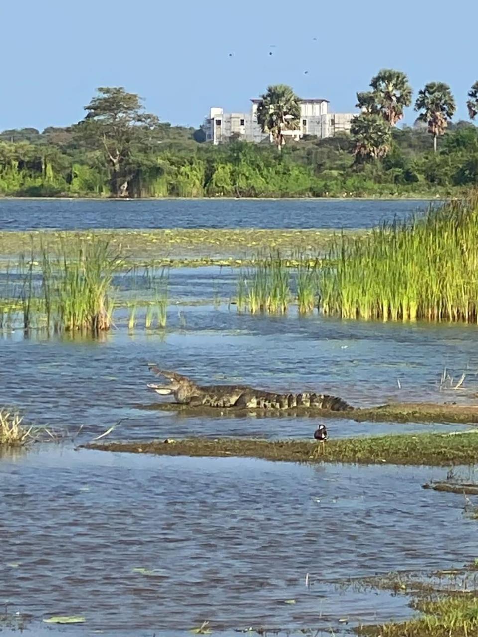 Vibushan Guest House Nilaveli Εξωτερικό φωτογραφία